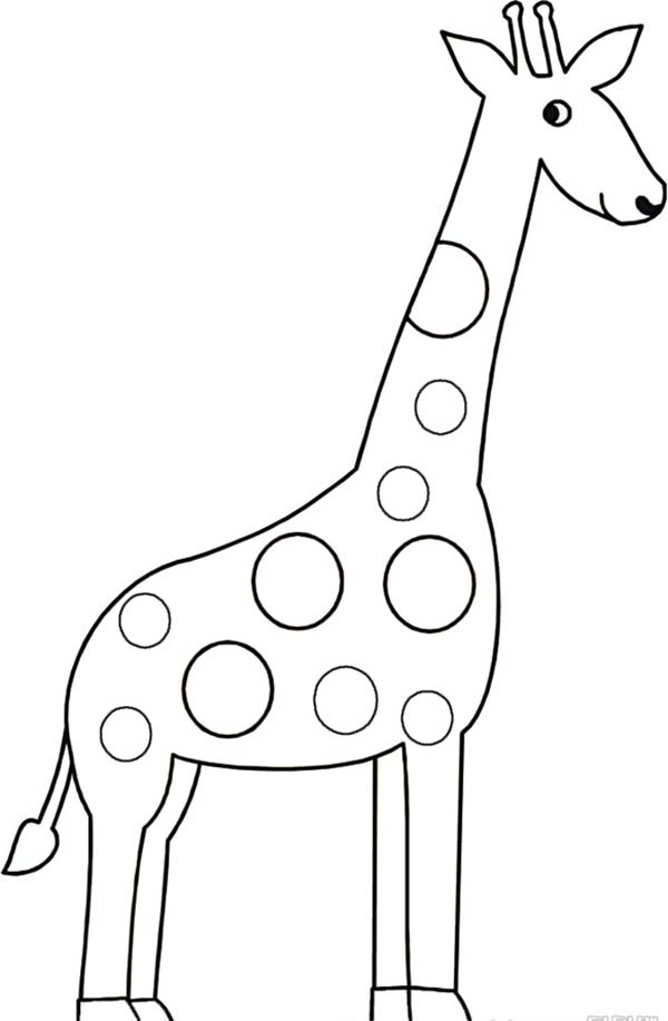 Giraffe Drawing Coloring Page NetArt