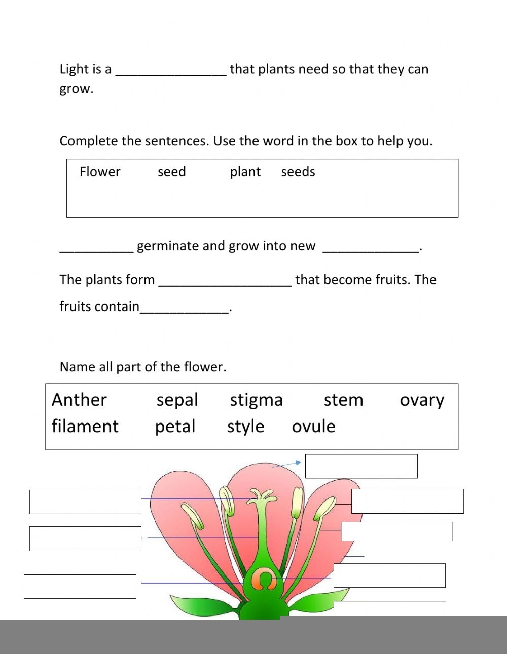 Grade 4 Science Worksheets South Africa Scienceworksheets