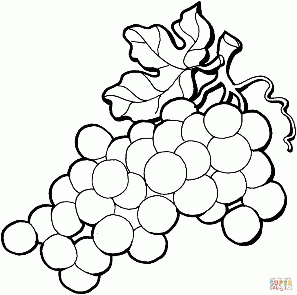 Grapes Coloring Page Coloring Home