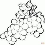 Grapes Coloring Page Coloring Home