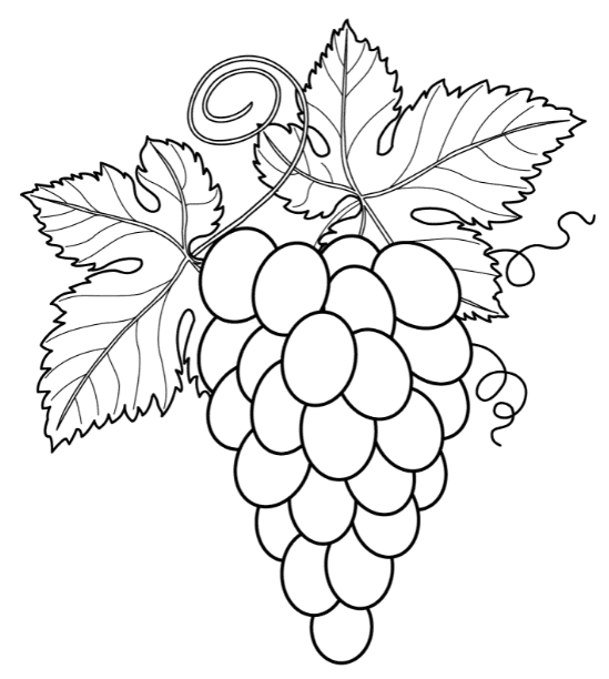 Grapes With Leaves Coloring Page Free Printable Coloring Pages