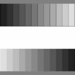 Grayscale