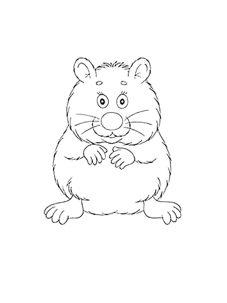 Hamster Coloring Pages
