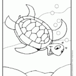 Hawaiian Color Pages Coloring Home
