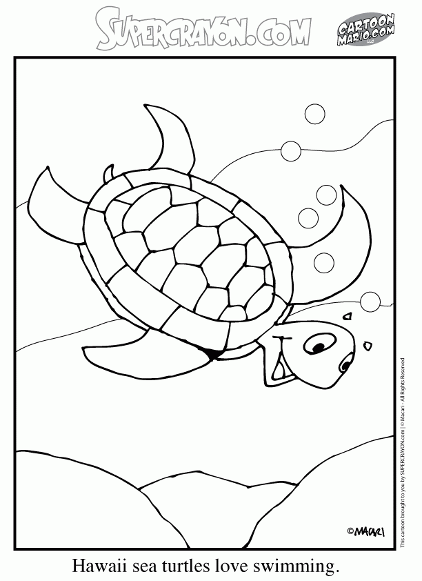 Hawaiian Color Pages Coloring Home