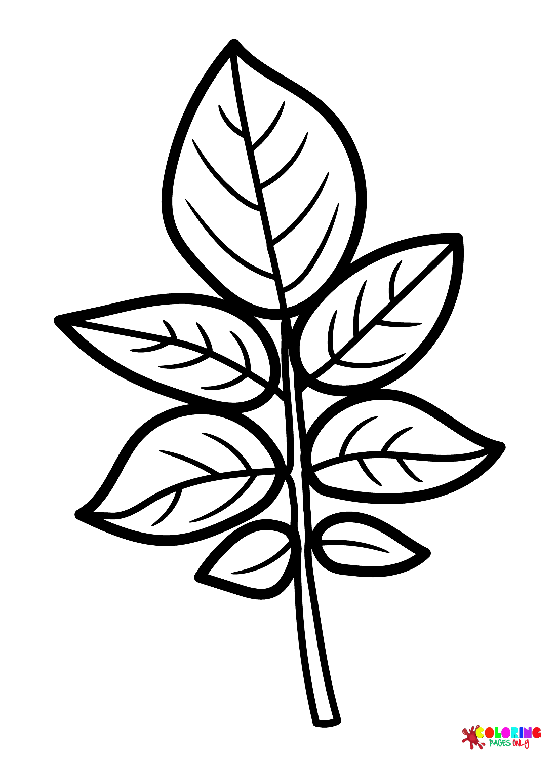 Leaf Coloring Pages