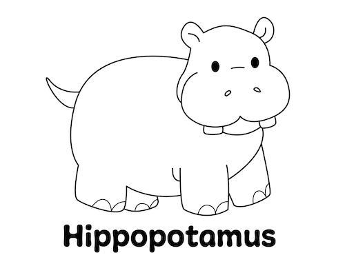Hippo Coloring Page Little Bee Family