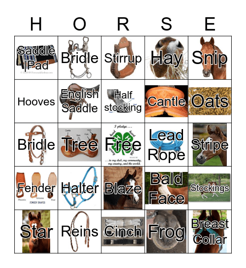 Horse Bingo Printable