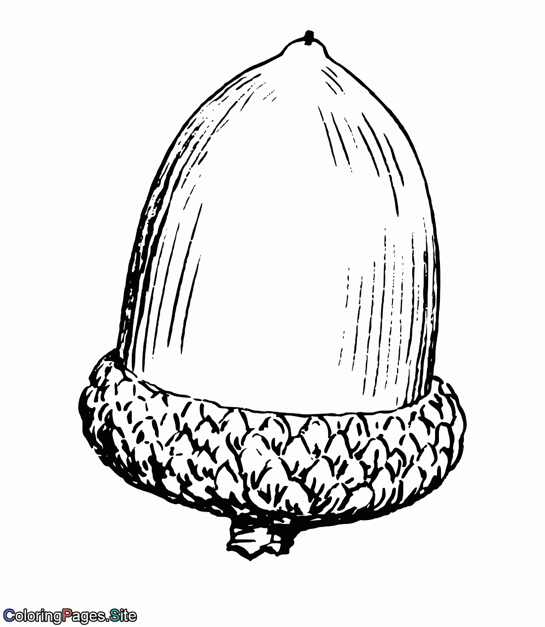 Huge Acorn Online Coloring Page Coloring Pages Online