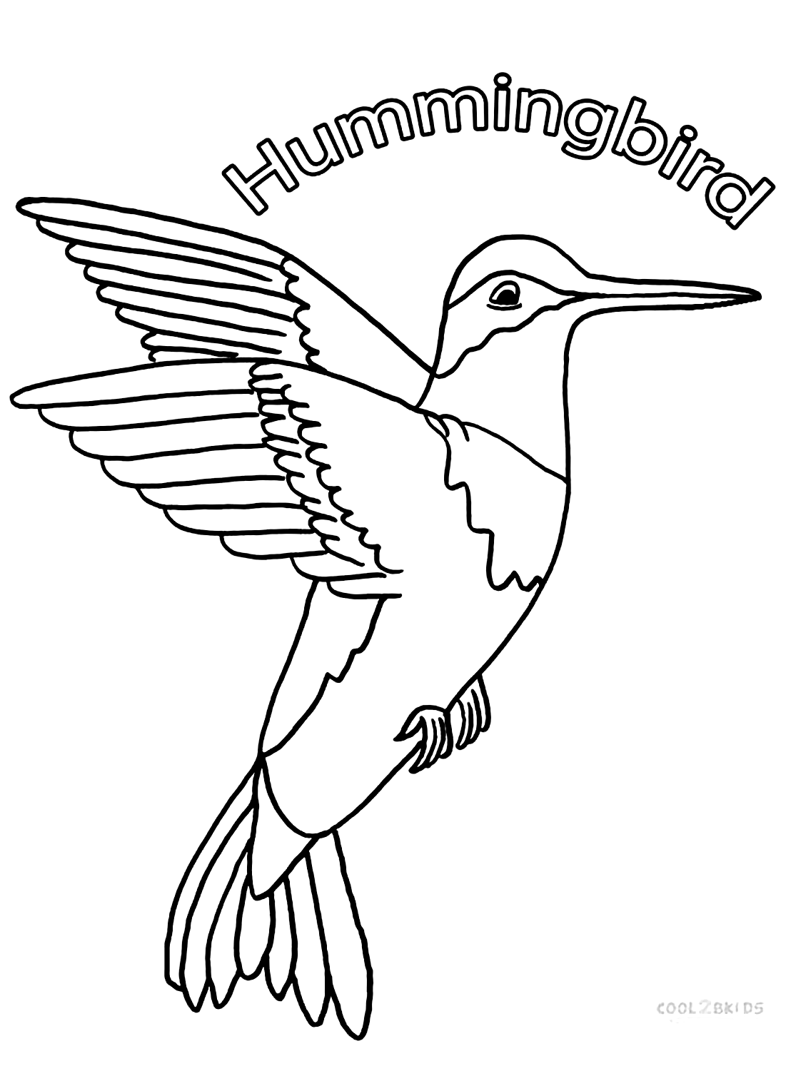 Hummingbird Picture Free Printable Coloring Pages