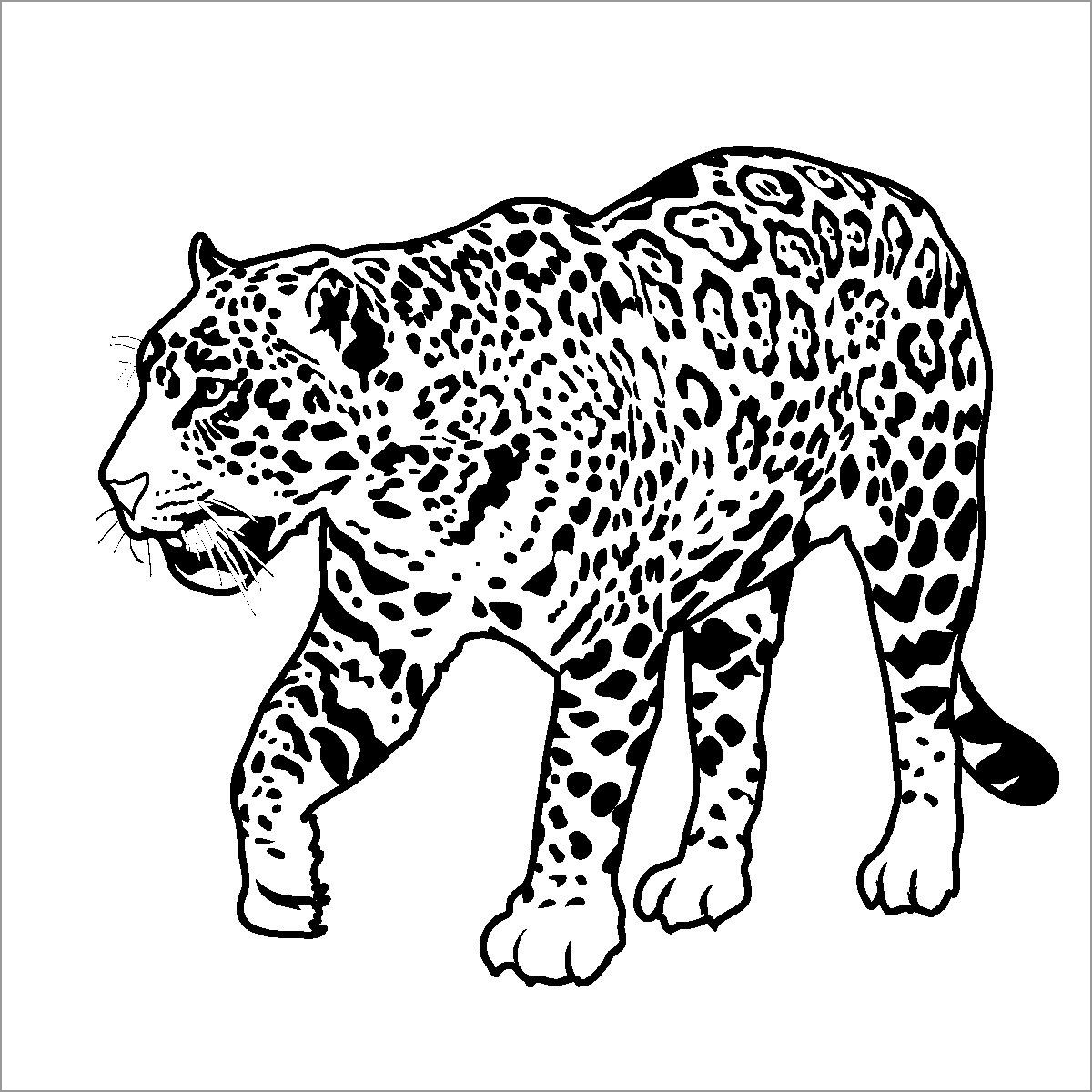 Jaguar Coloring Pages ColoringBay