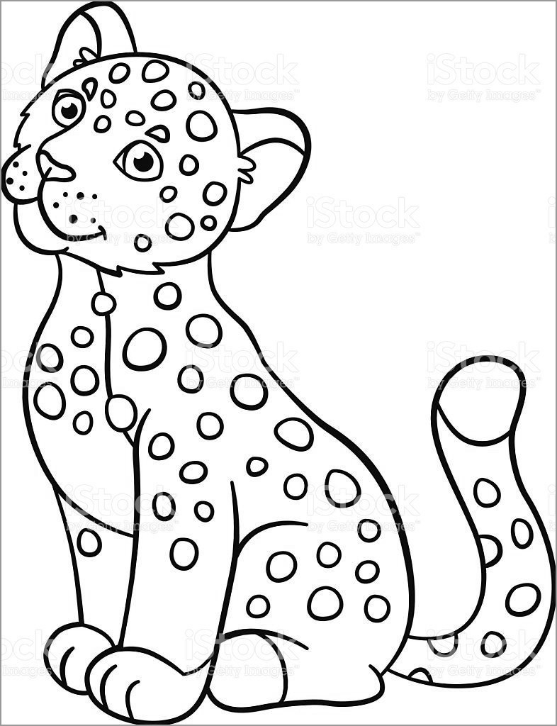 Jaguar Coloring Pages ColoringBay