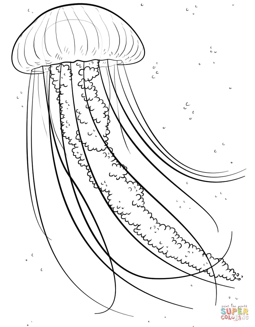 Jellyfish Coloring Pages