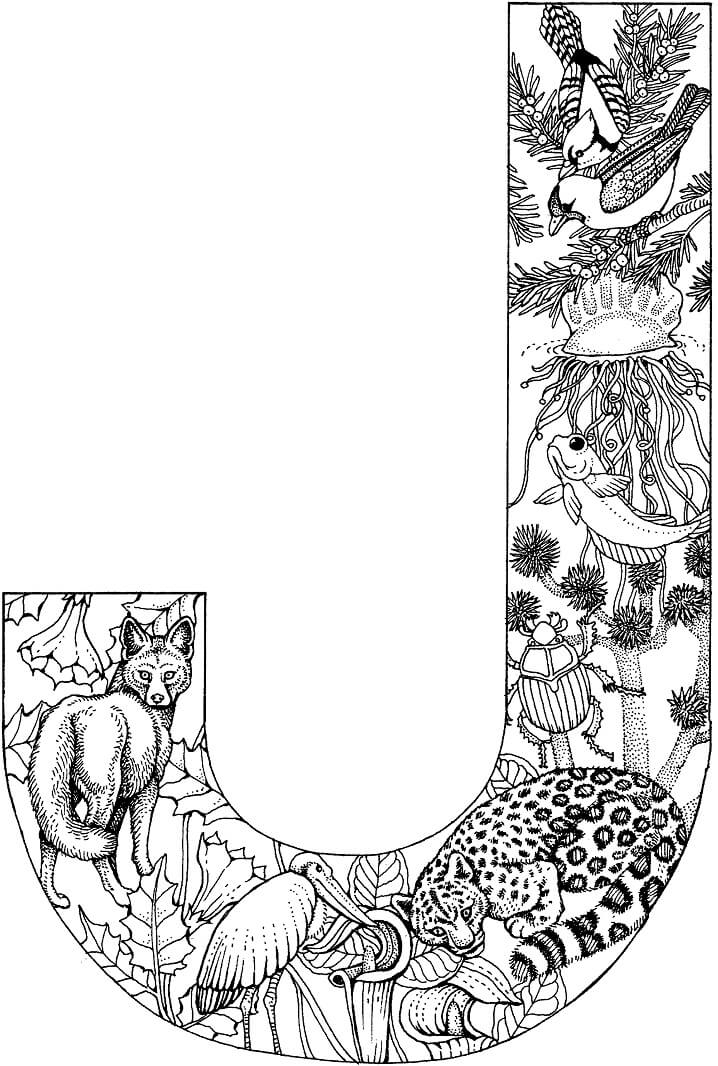 Jet Letter J Coloring Page Free Printable Coloring Pages For Kids