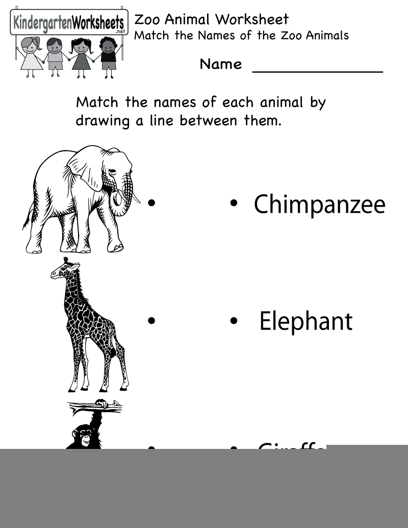 printable zoo animals worksheets for kindergarten