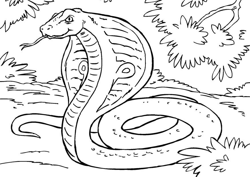 King Cobra Coloring Page Coloring Home