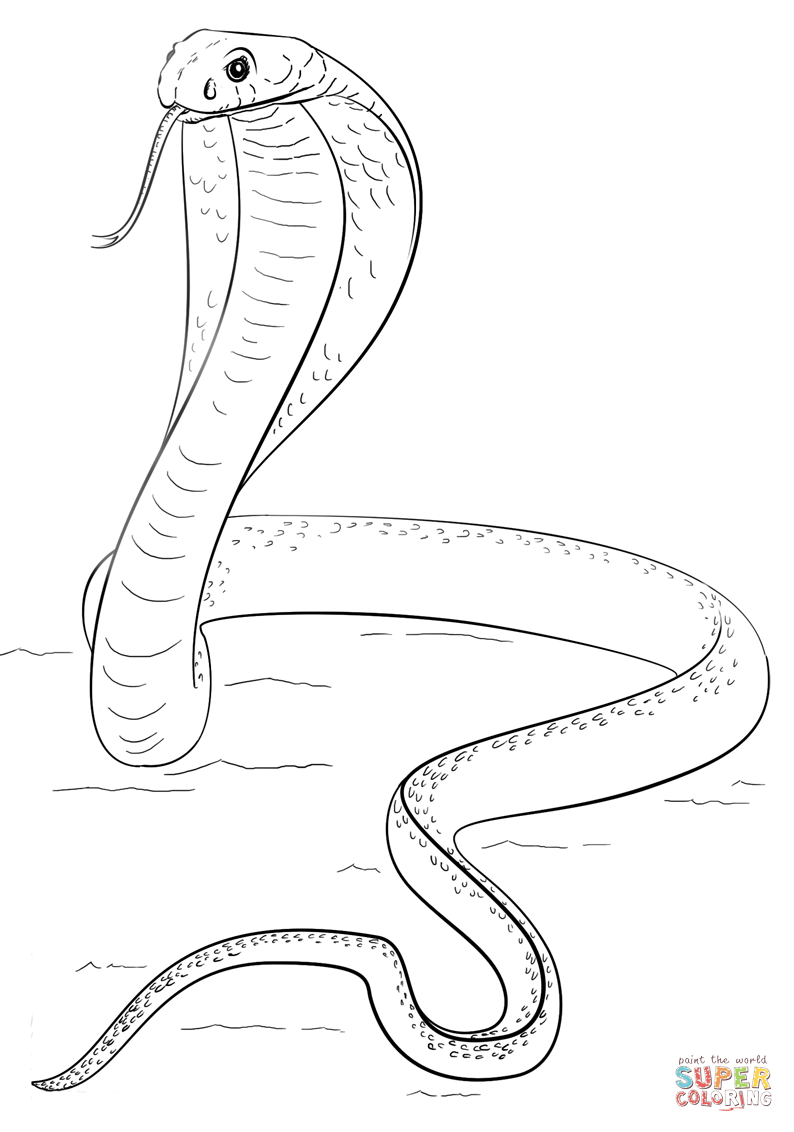 King Cobra Coloring Page Coloring Home