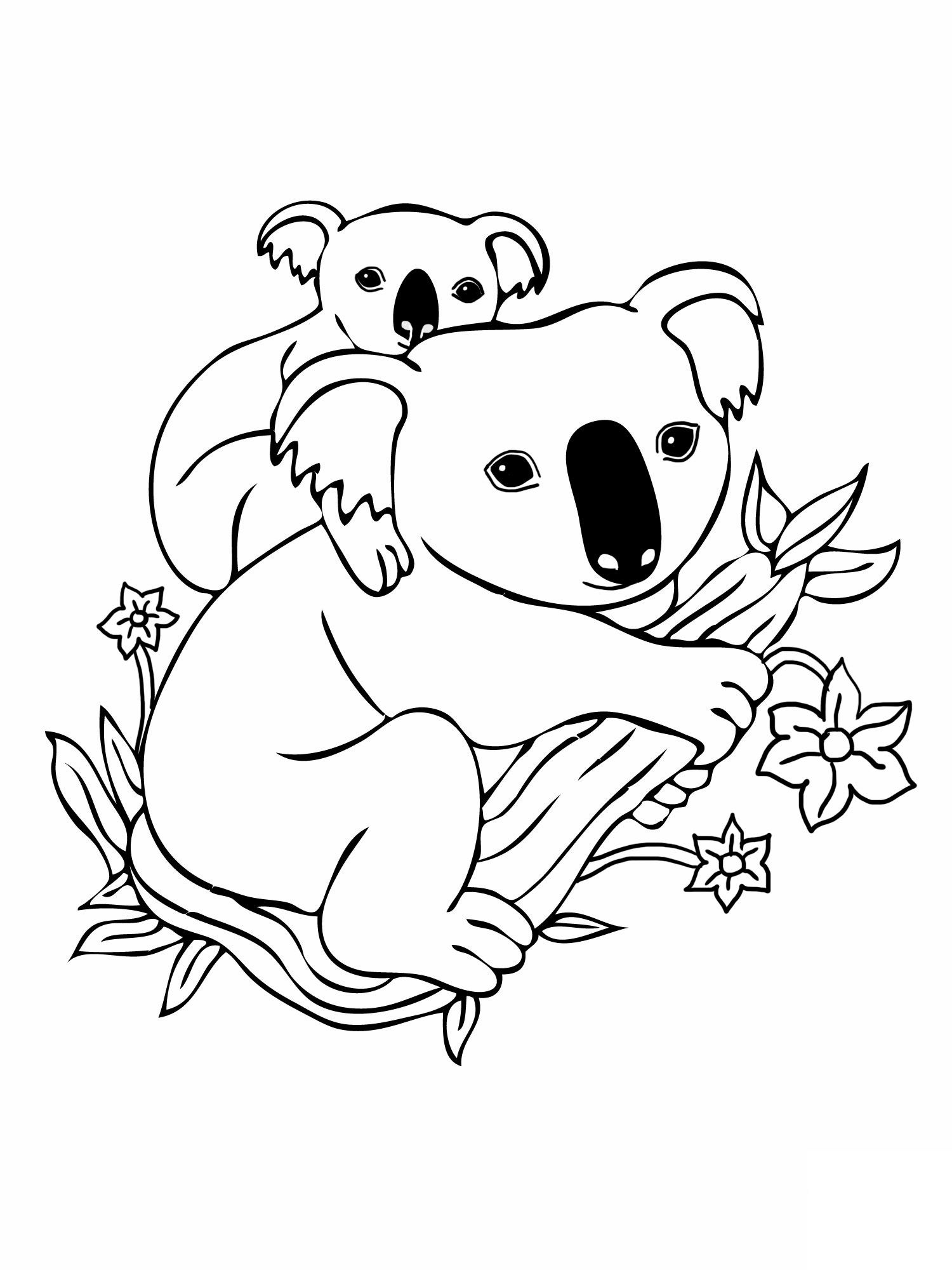 Koala Bear Coloring Pages advanced Coloring Pages difficult Coloring 