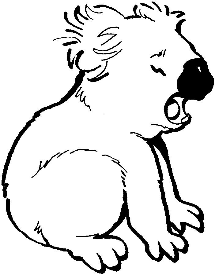 Koala Bears Coloring Pages Coloring Home