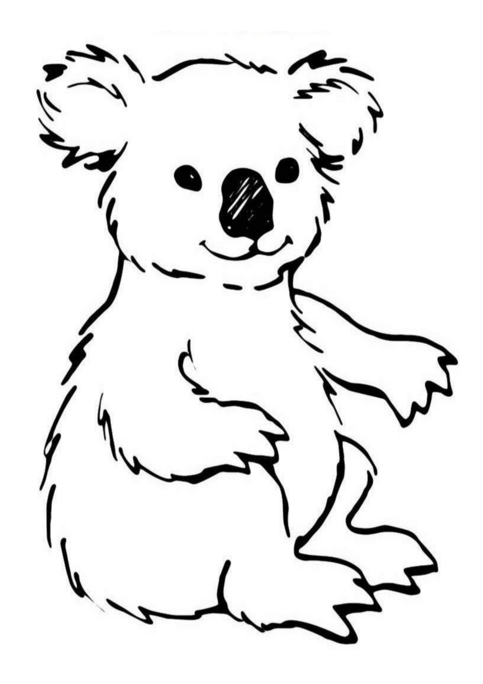 Coloring Pages Of Koala Bears