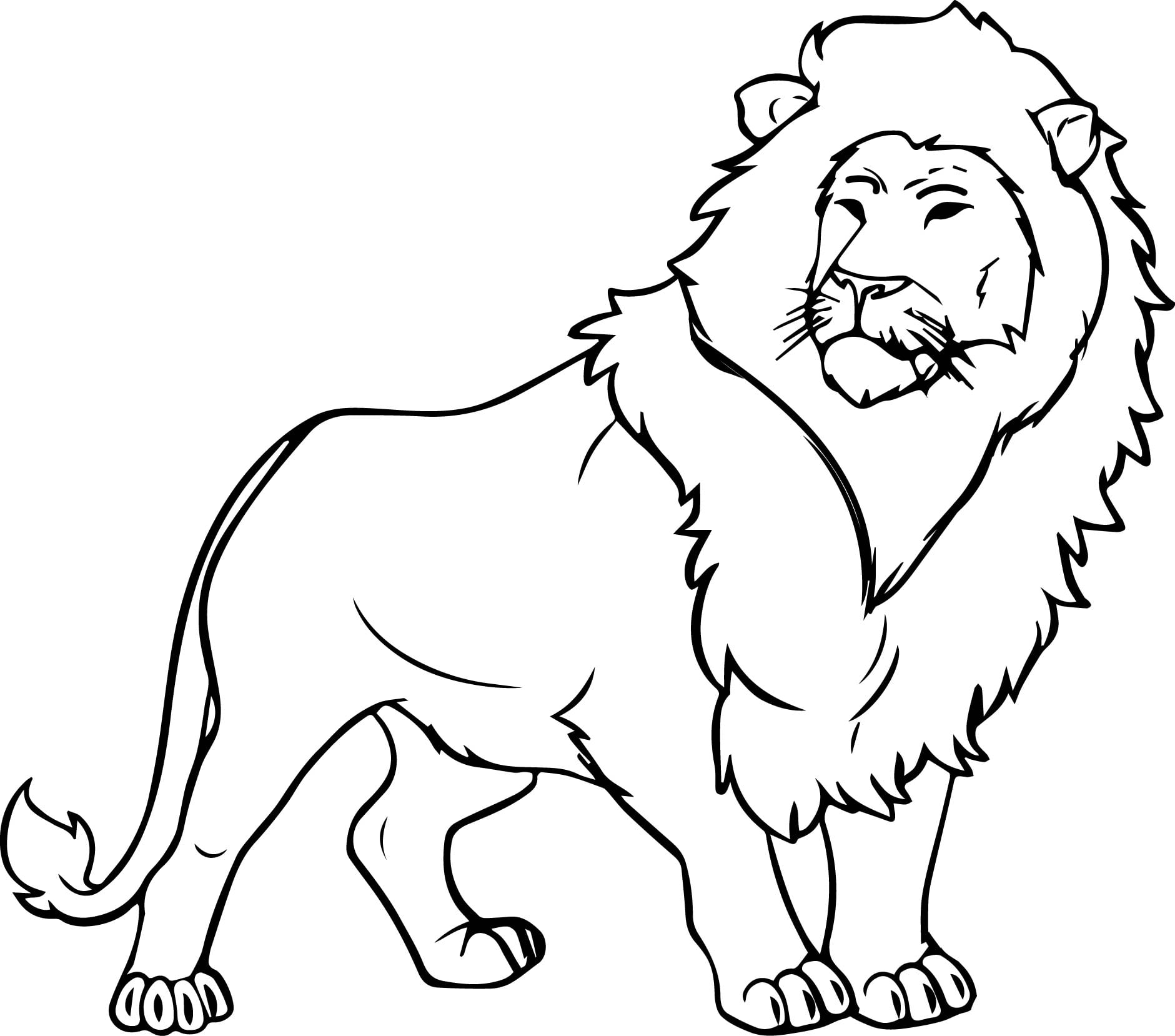 Lion Coloring Book Page