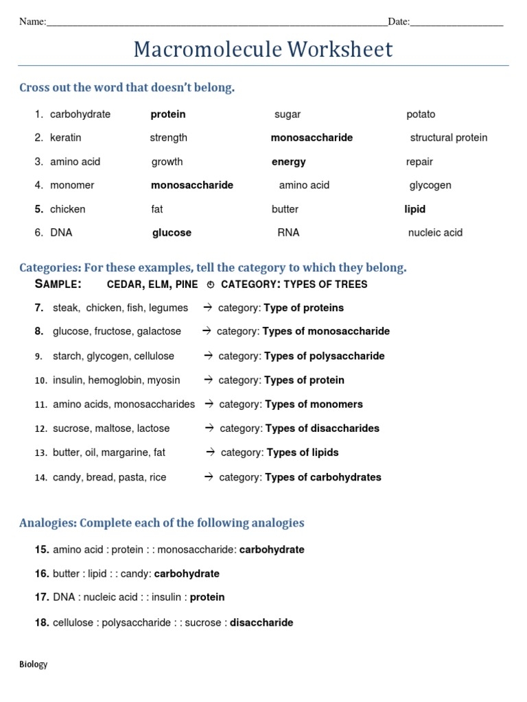 worksheet on macromolecules