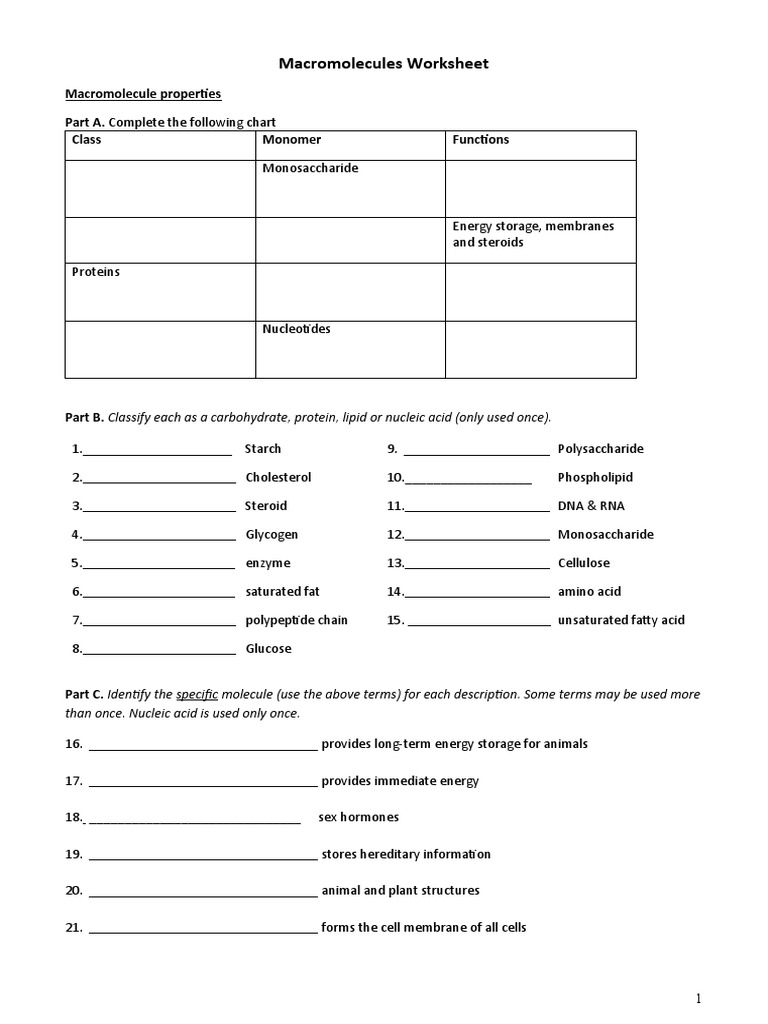 Macromolecules Worksheet PDF Macromolecules Polysaccharide 