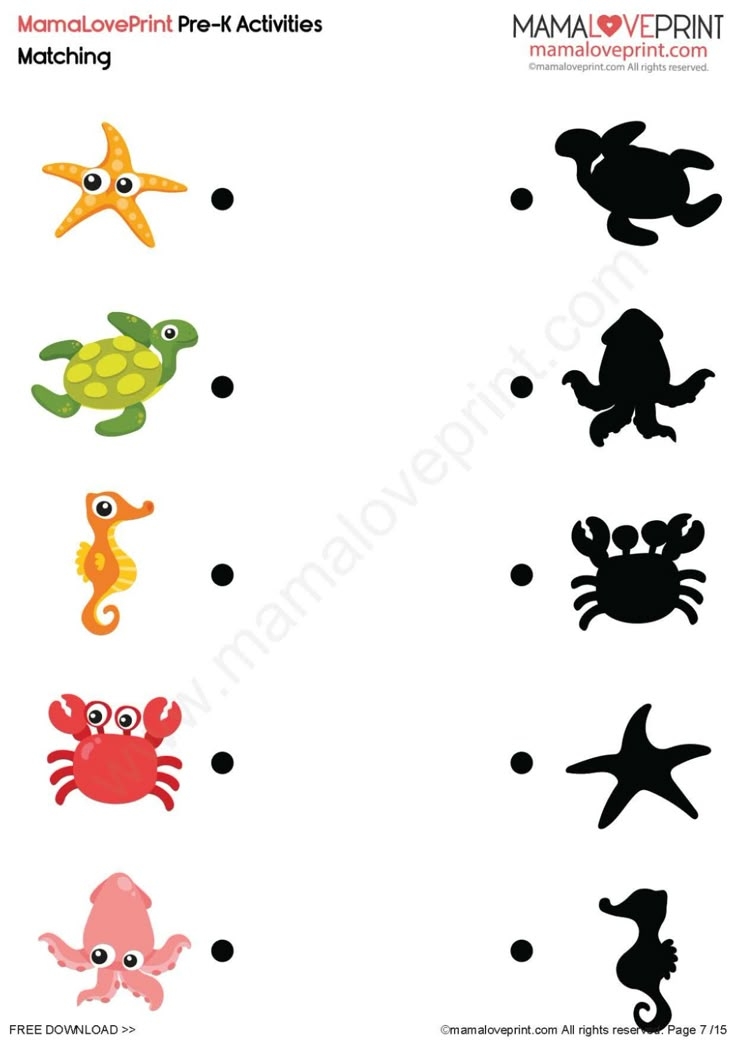 MamaLovePrint PreK Worksheets Graphic Matching PDF Free Download
