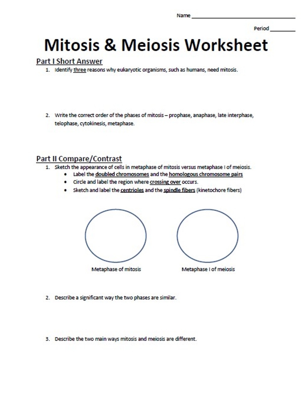 Mitosis And Meiosis Worksheets Library