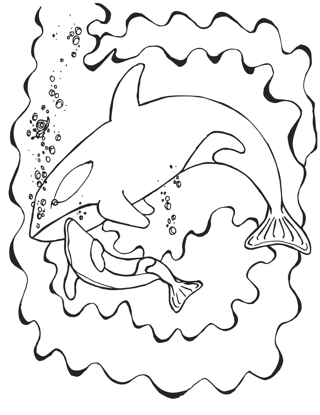 Momma And Baby Orca Whale Cuddling Coloring Page Mermaid Coloring Pages