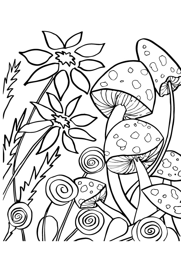 Mushroom Coloring Pages Books 100 FREE And Printable