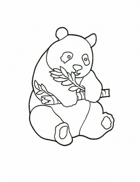 Panda Bear Coloring Page