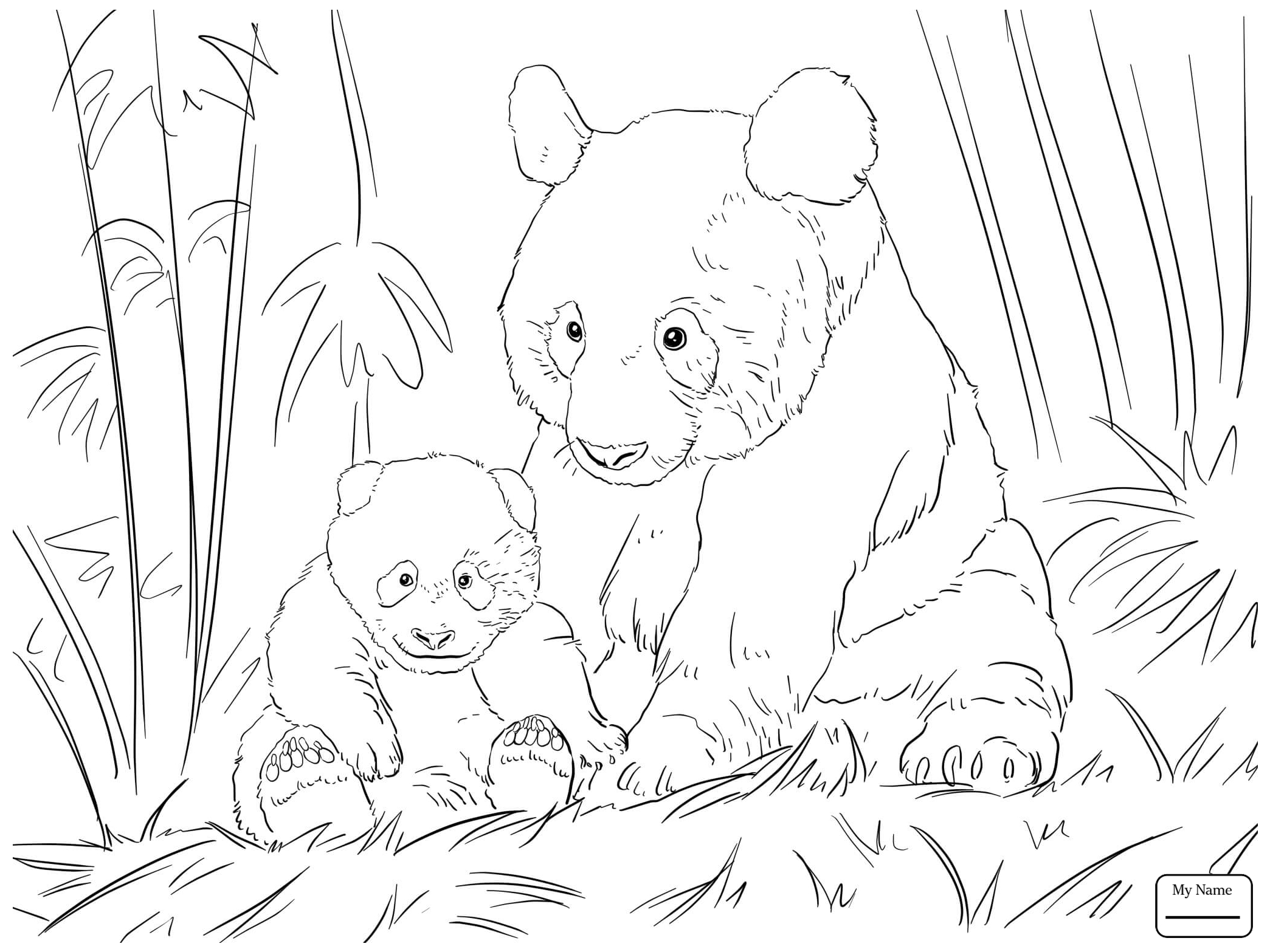 free coloring pages panda bear
