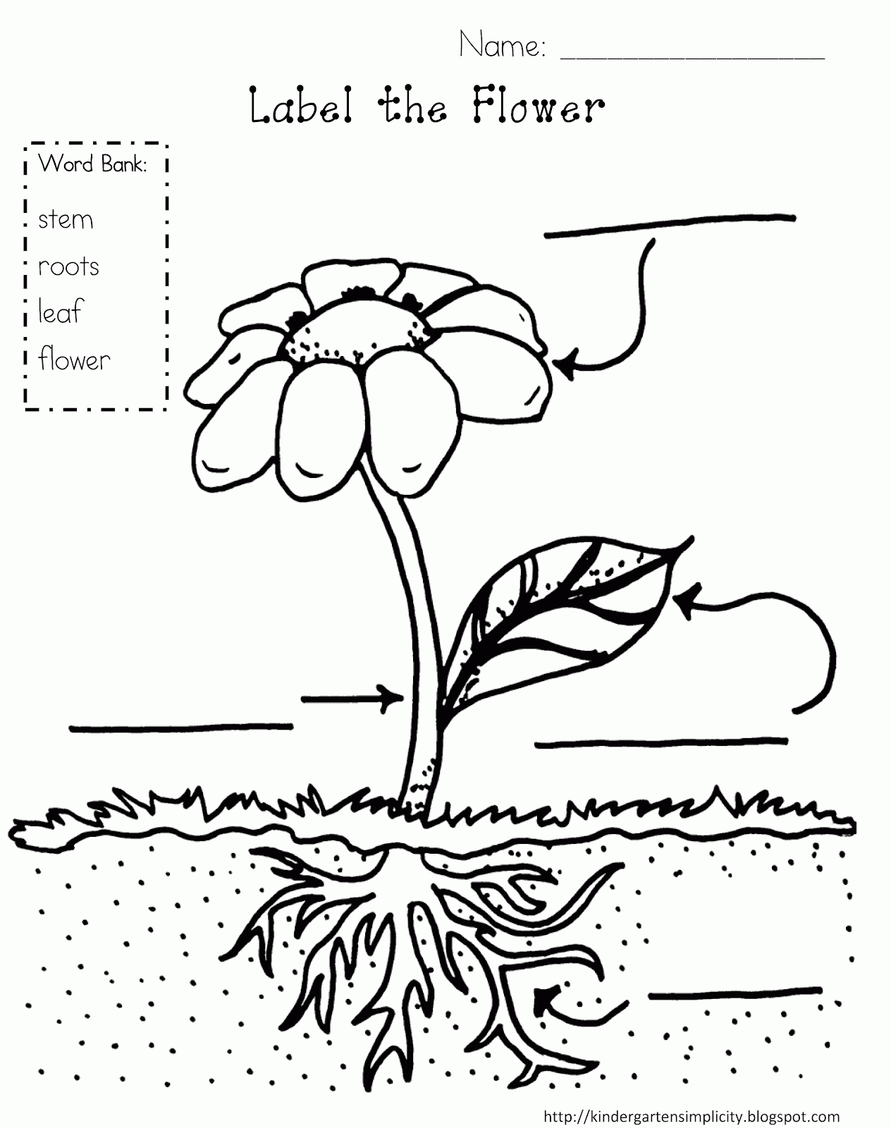 Coloring Page Of A Plant