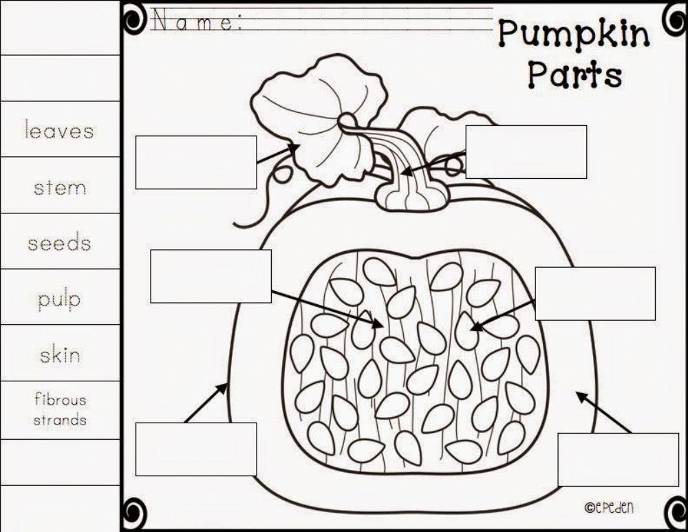 Parts Of A Pumpkin Worksheet Live Worksheets Worksheets Library