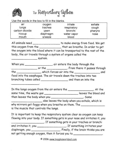 breathing system worksheet