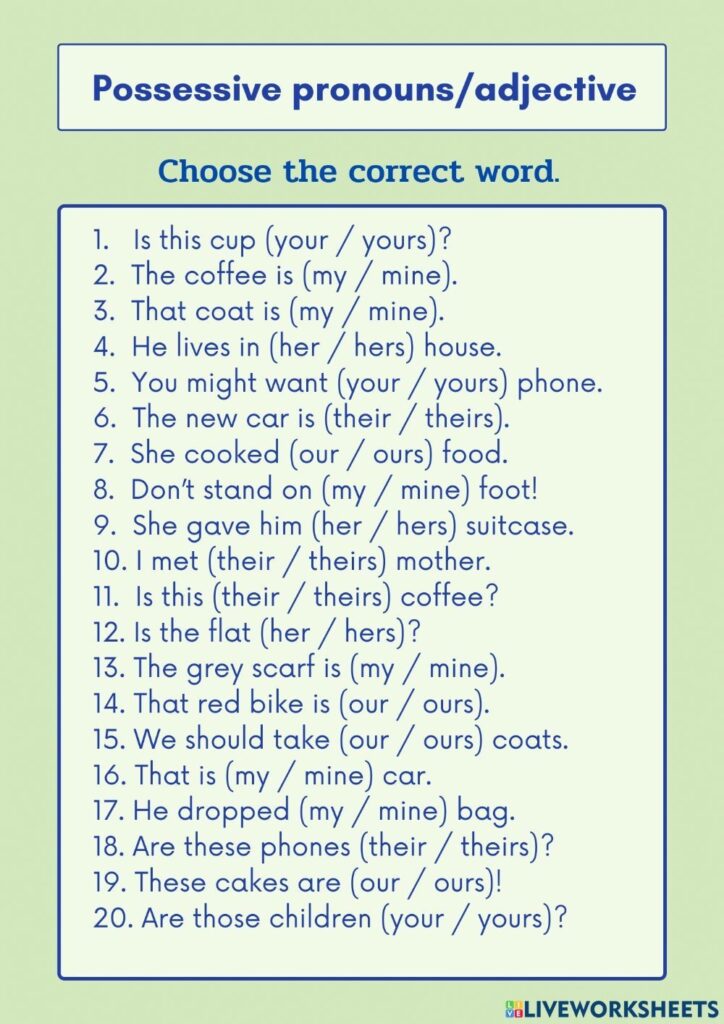 Possessive Pronoun Adjective Worksheet