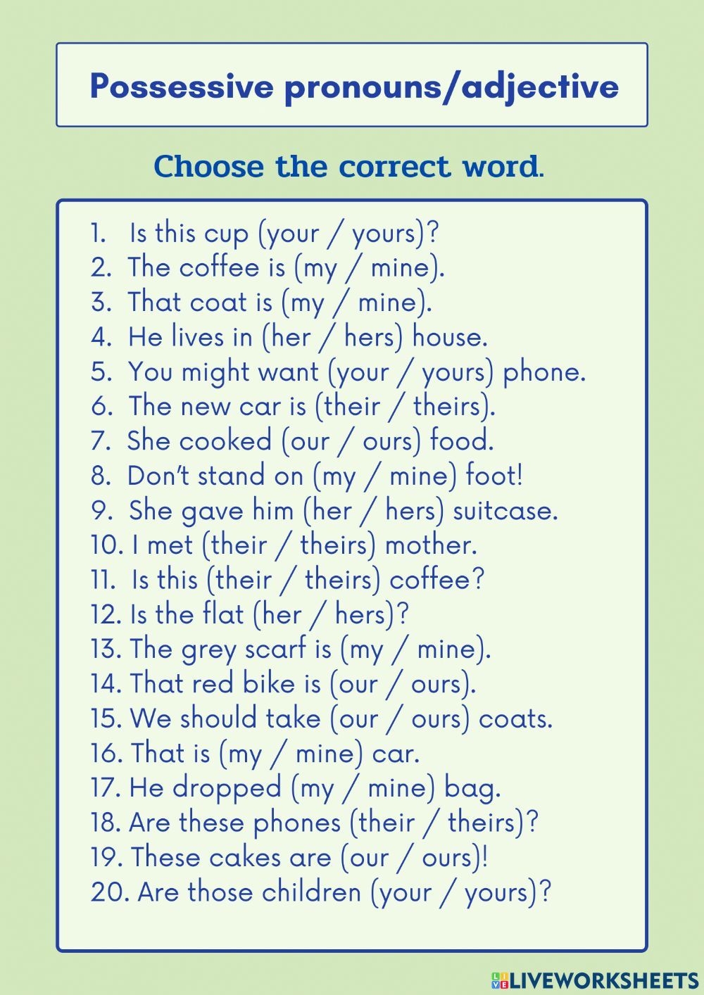 Possessive Pronoun Adjective Worksheet