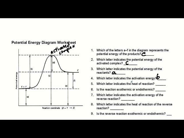 Potential Energy Diagrams YouTube Worksheets Library