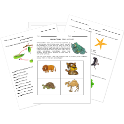 free printable animals worksheets