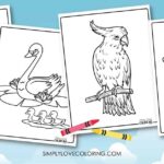 Printable Coloring Pages Birds And Flowers Infoupdate