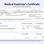 Printable Dot Medical Card Form Printable Forms Free Online
