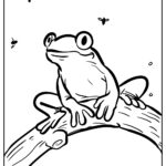 Printable Frog Coloring Pages Free Printable Frog Coloring Pages For Kids