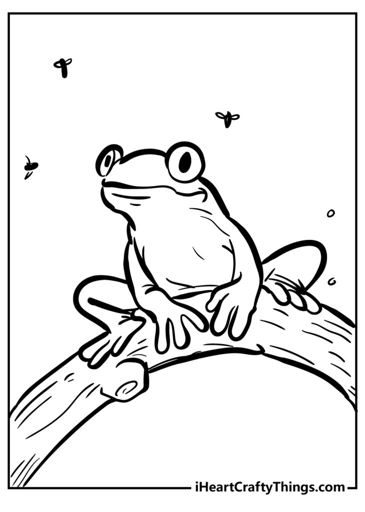 Printable Frog Coloring Pages Free Printable Frog Coloring Pages For Kids