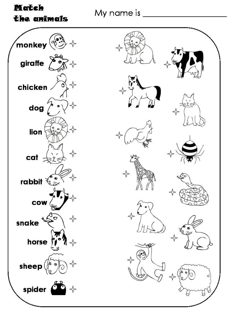 Printable Wild Animals Worksheets For Preschoolers Thekidsworksheet