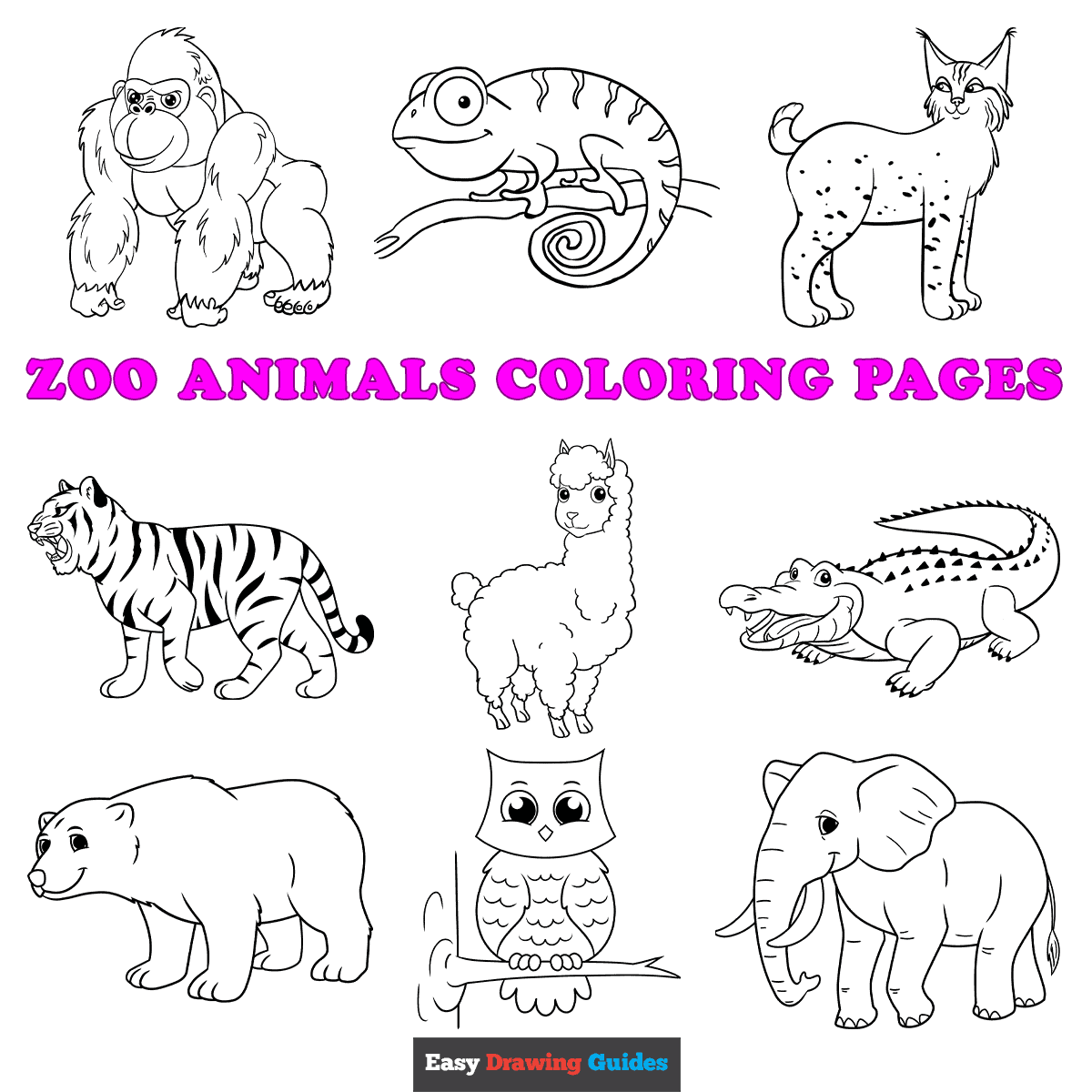 free printable coloring pages of animals