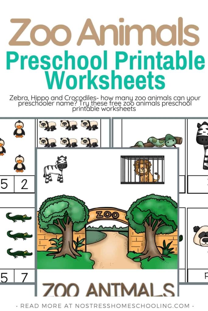 Printable Zoo Animals Worksheets For Kindergarten