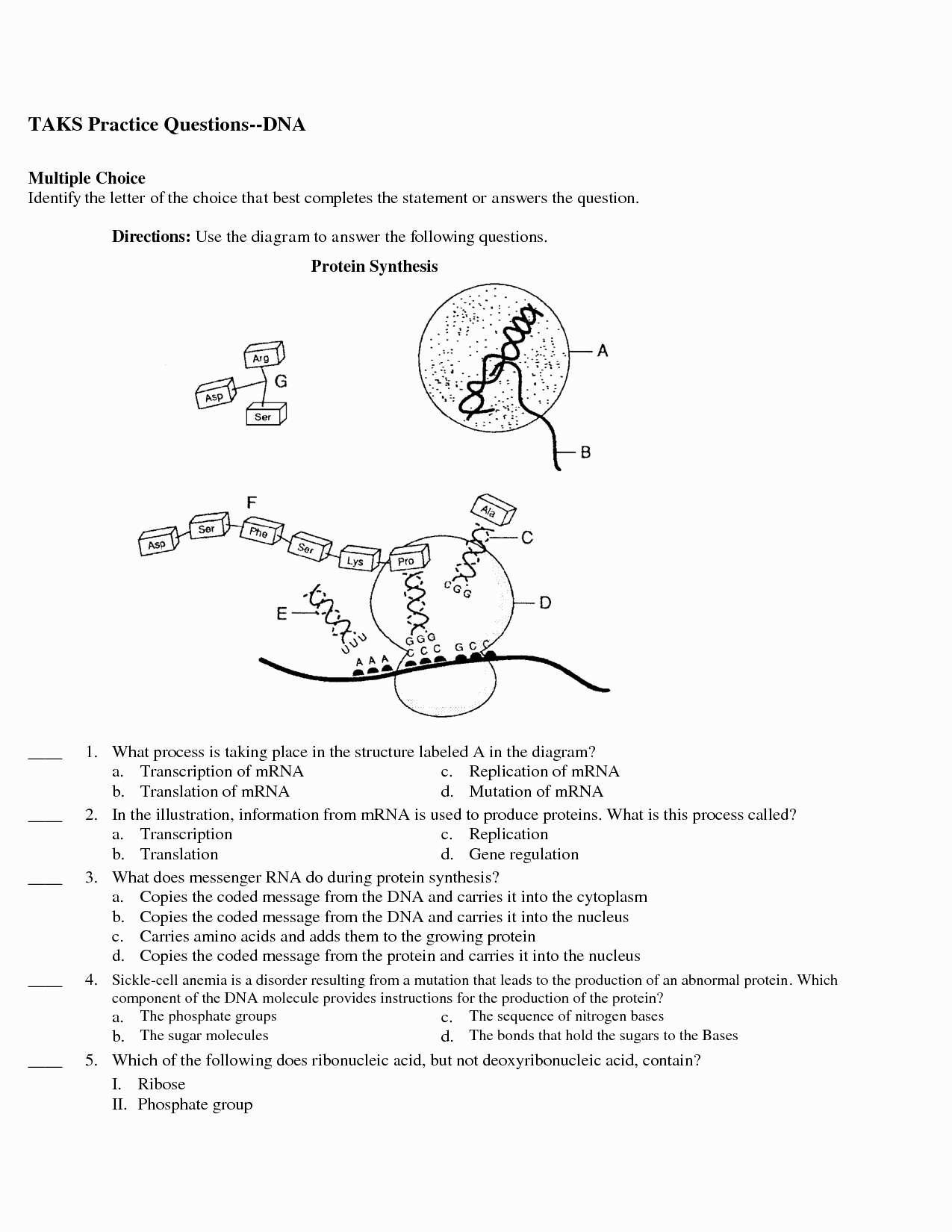 protein synthesis worksheet answer sheet