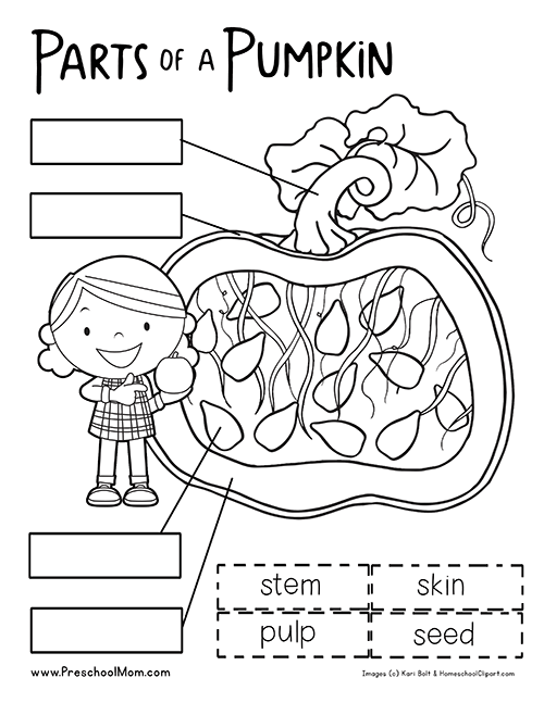 Pumpkin Preschool Printables Free Worksheets Samples