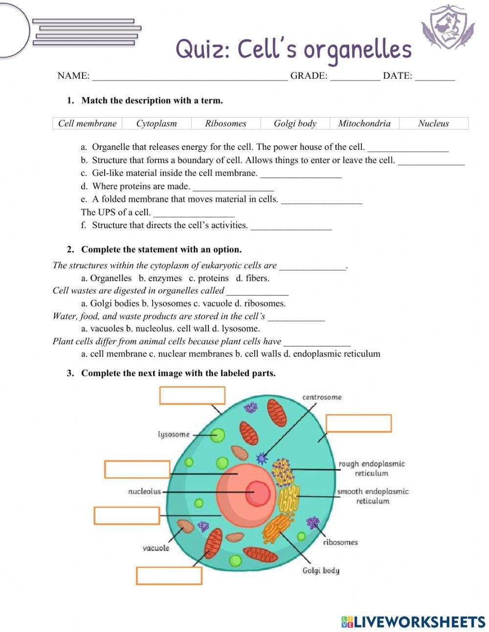 Quiz Cells Organelles Worksheet Live Worksheets Worksheets Library
